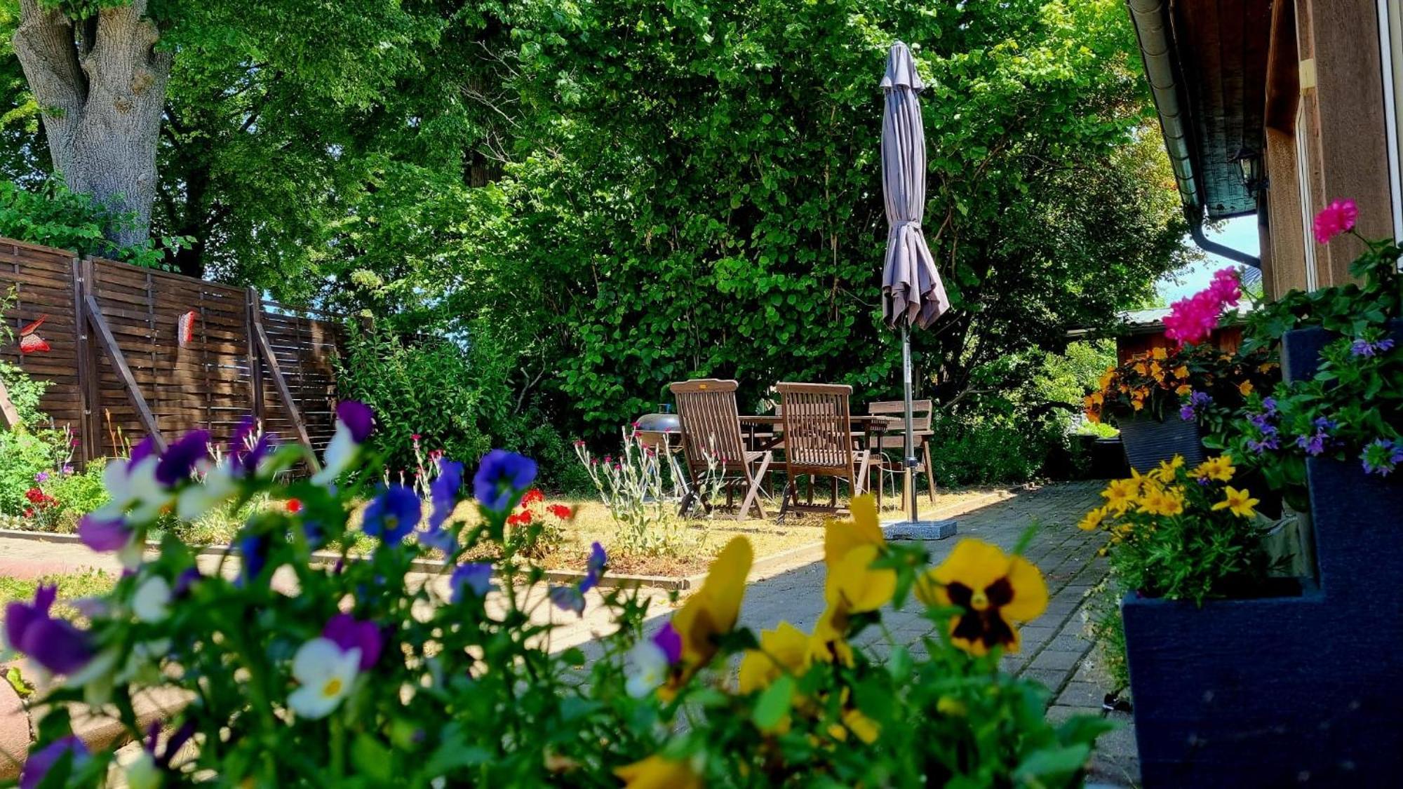 W5 - Urlaubsmagie - Wohnung Mit Grill, Terrasse & Pool Lichtenhain  Екстериор снимка